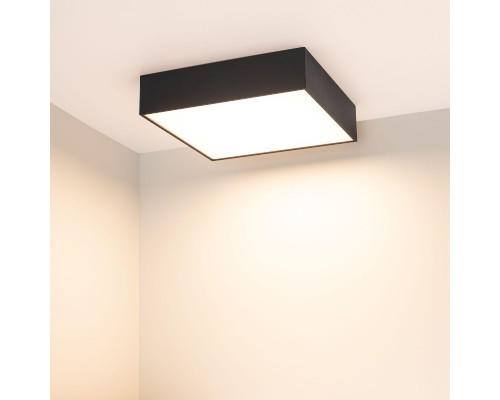 Дополнительное фото Светильник потолочный Arlight IM-QUADRO-EMERGENCY-3H-S250x250-28W Day4000 (BK, 120 deg, 230V) 041007: Купить в Интернет магазин освещения GCSVET.RU