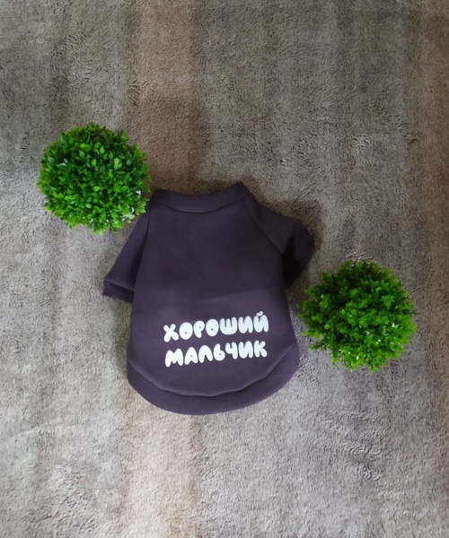 Одежда для собак