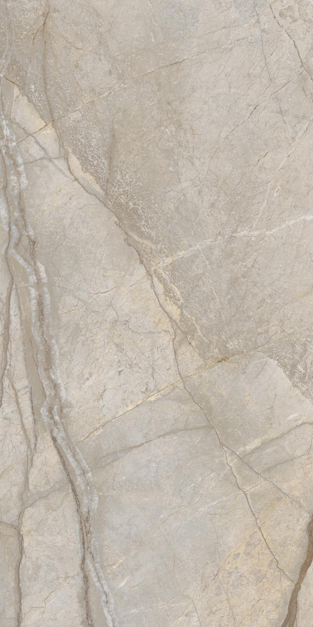 STE.ELEG.SILVER 60X120 RET