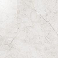 Керамогранит Контемпора Пур 60*60 шлиф.