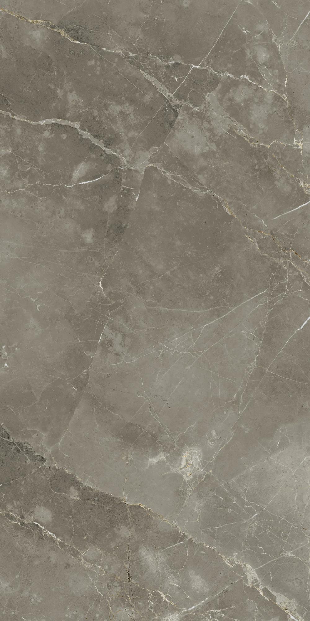 STE.TUS.GREY 60X120 RET