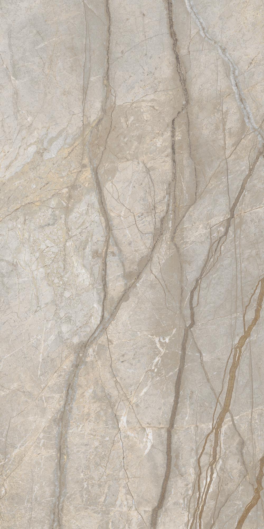 STE.ELEG.SILVER 60X120 LAP