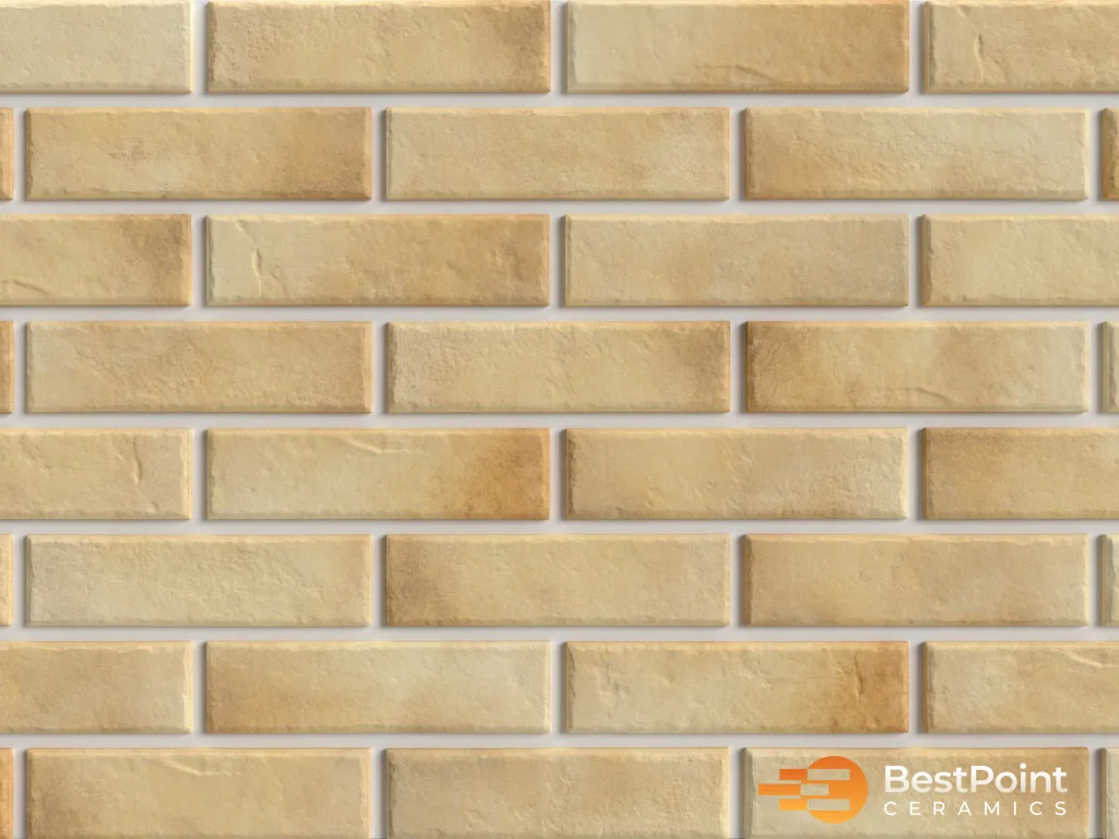 Salt 24,5 х 6,5 BPRB06