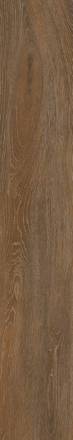 Коллекция керамогранита Forest. Имитация поверхности натурального дуба в формате 20х120