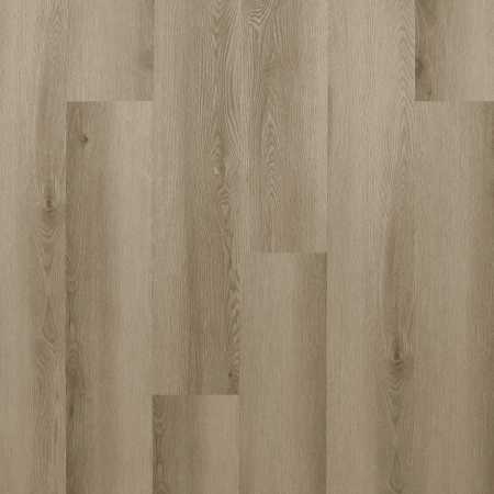 Caravella (Каравелла)