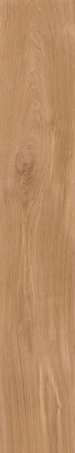 Коллекция керамогранита Forest. Имитация поверхности натурального дуба в формате 20х120