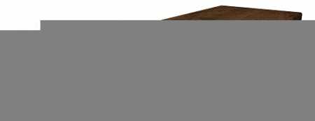 Ступень НЛ-Вуд Пэппер фронт.Х2 33х60