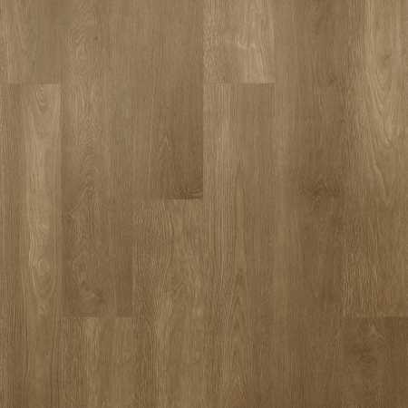 Drakkar (Драккар)