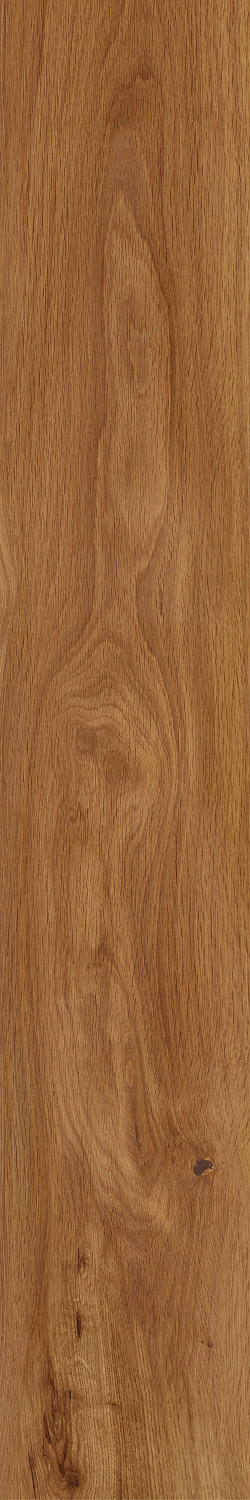 Коллекция керамогранита Forest. Имитация поверхности натурального дуба в формате 20х120