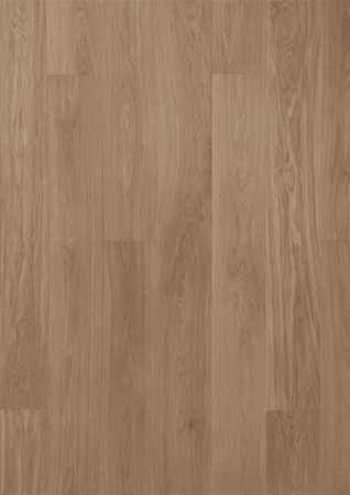 OAK STORY ASTER DEEP MATT