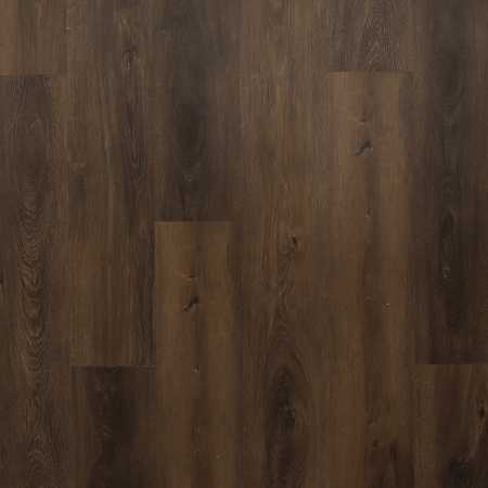 Galeon (Галеон)