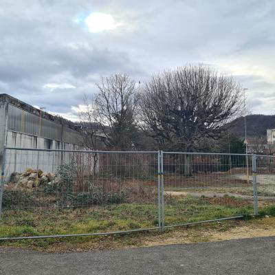 Bau1