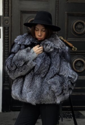 Silver Fox with Collar