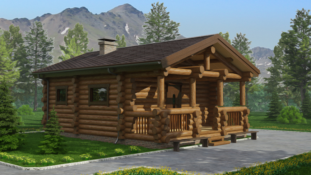 Сруб бани "Динамо"