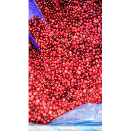 Брусника замороженная 1кг