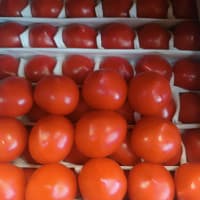Томаты Узбекистан