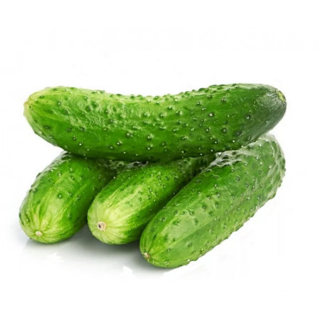 Огурцы короткоплодные 1 кг
