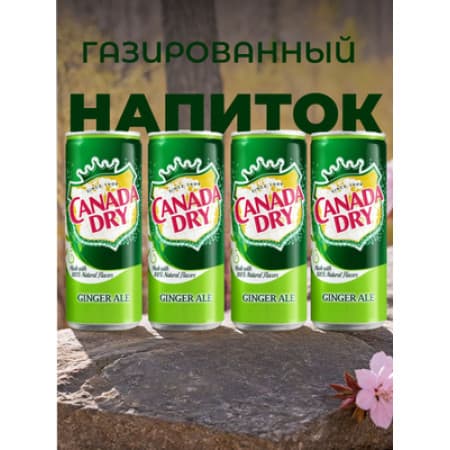 Напиток газированный Канада Драй 0.33мл
