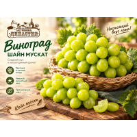 Виноград Шайн Мускат Китай