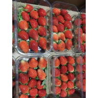 Клубника 300 гр Египет