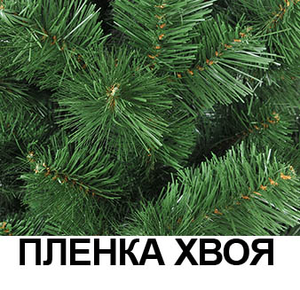 //cdn.optipic.io/site-106215/faq/pvh.jpg