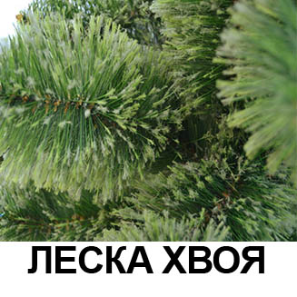 //cdn.optipic.io/site-106215/faq/leska.jpg