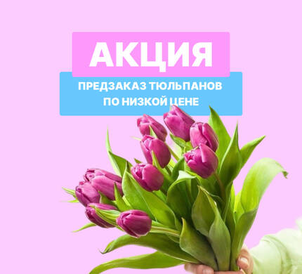 Акция к 8 Марта: Подарите весну с нашими тюльпанами!