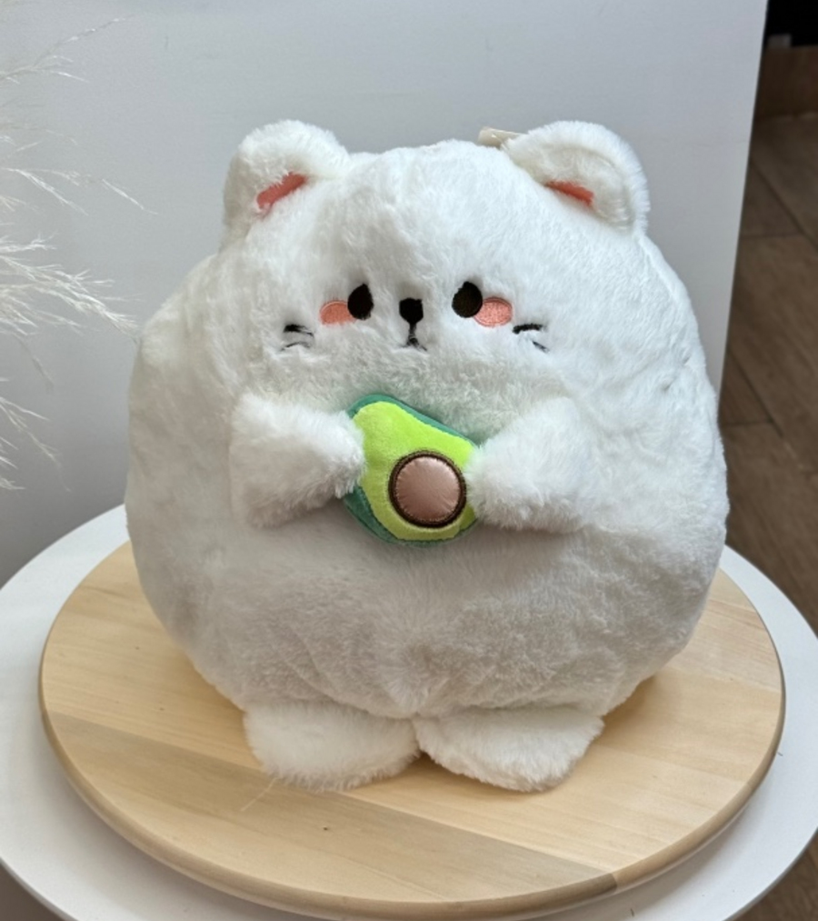 Котик с авокадо
