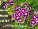 Vielen lieben DANK und Gottes Segen!