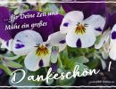 ...für Deine Zeit und Mühe ein großes Dankeschön!