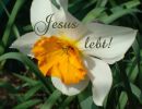 Jesus lebt - ohne Bibelvers