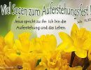 Johannes 11,25 a - Jesus spricht zu ihr: Ich bin die Auferstehung und das Leben.