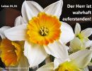aus Lukas 24,34 - Der Herr ist wahrhaftig auferstanden