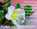 Hosea 6,2 - Nach zwei Tagen wird er uns lebendig machen, am dritten Tag wird er uns aufrichten, dass wir vor ihm leben. 