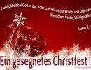 Herrlichkeit bei Gott in der Höhe und Friede auf Erden, und unter den Menschen Gottes Wohlgefallen!  Lukas 2,14