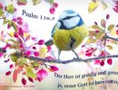 Psalm 116,5 - Der Herr ist gnädig und gerecht, ja unser Gott ist barmherzig