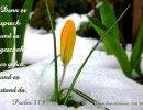 Psalm 33,9 - Denn er sprach und es geschah; er gebot und es stand da.
