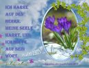 Psalm 130,5 - Ich harre auf den Herrn, meine Seele harrt, und ich hoffe auf sein Wort