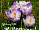 Offenbarung 21,5 - Siehe, ich mache alles neu!