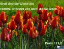 Psalm 111,2 - Groß sind die Werke des Herrn, erforscht von allen, die sie lieben