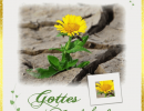 Einsame Blume - Hedi Bode - Motiv Löwenzahn Doppelkarte