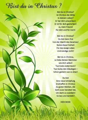 Bist du in Christus? - Hedi Bode