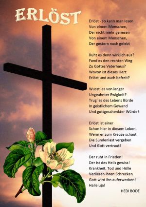 Erlöst - Hedi Bode