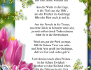 Führungen - unbekannt