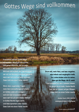 Gottes Wege sind vollkommen - Herbert Sack