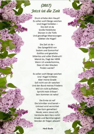Jetzt ist die Zeit - Hedi Bode
