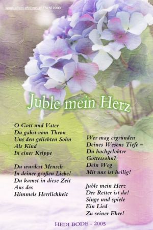 Juble mein Herz - Hedi Bode