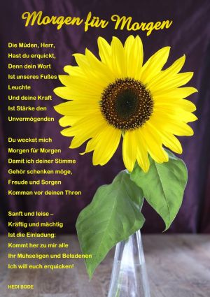 Morgen für Morgen - Hedi Bode