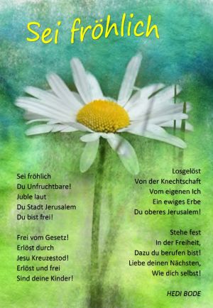 Sei fröhlich - Hedi Bode