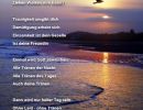 Tränen in der Nacht - Hedi Bode